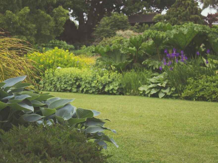 Como Cuidar de Jardim de Inverno