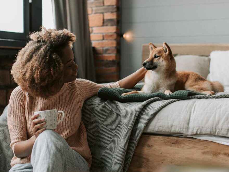 Melhores animais para se ter em apartamento