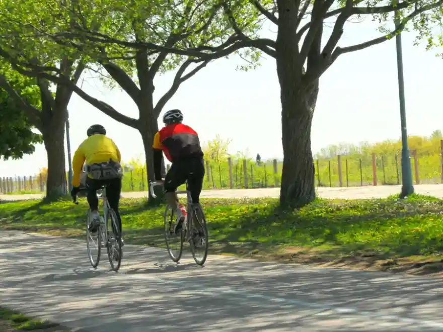 Benefícios de andar de bicicleta