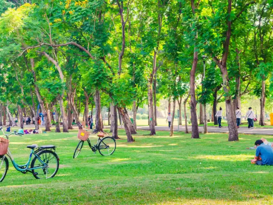 O que fazer em Orlando fora dos parques