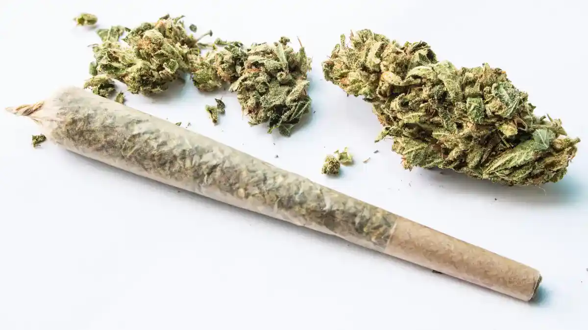 O que a droga K9 pode causar Efeitos e riscos