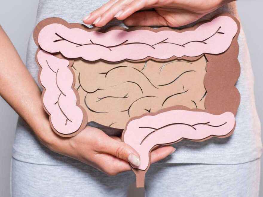 Descubra os Alimentos que ajudam no Equilíbrio da Flora Intestinal