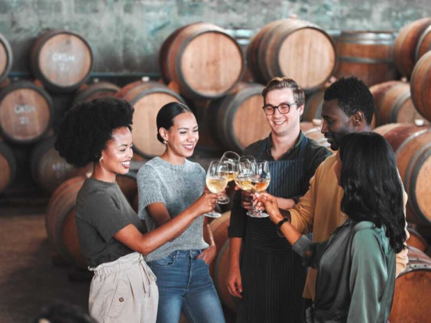 Vinícolas Brasileiras: Entre Tradição e Inovação