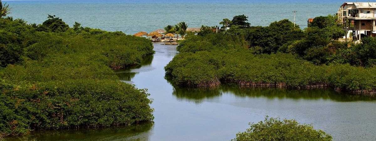 Visto americano em Recife: como funciona o processo completo