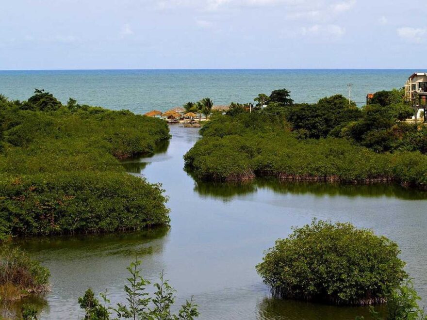 Visto americano em Recife: como funciona o processo completo